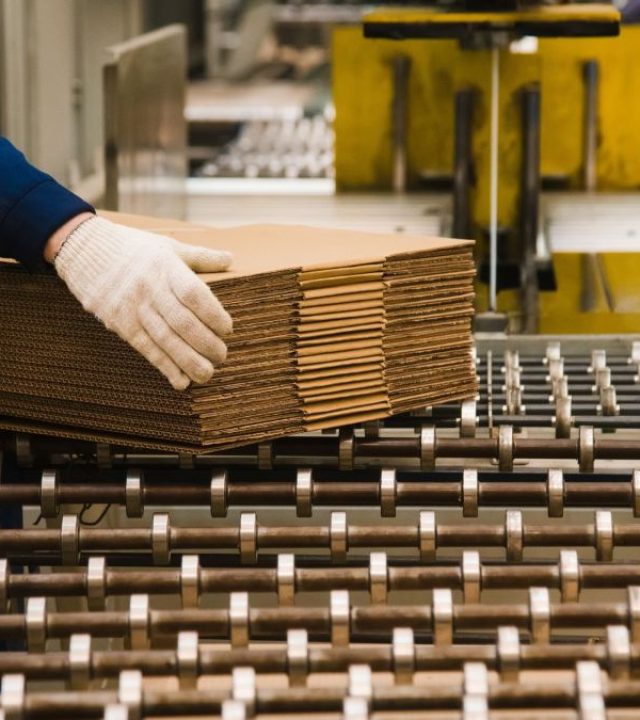 facilitycorrugatedbelt-image2